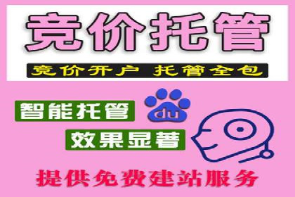 SEM代运营机构成功案例：精准定位客户群体